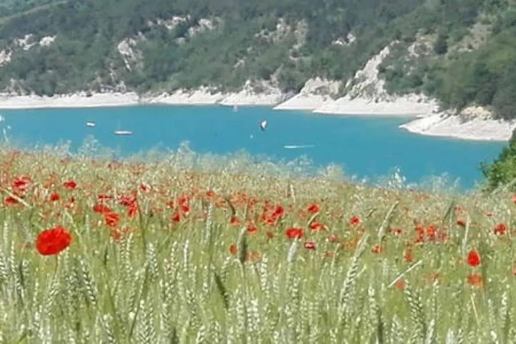 Gite De Charme : La Grange Au Lac Azur Treffort