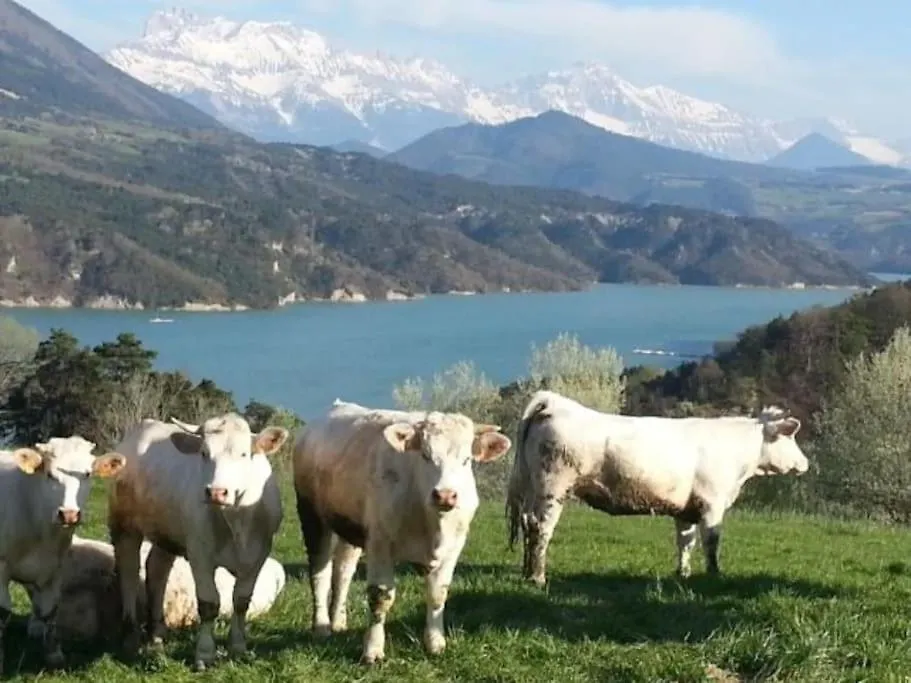 Gite De Charme : La Grange Au Lac Azur Treffort  Holiday home Treffort (Isere)